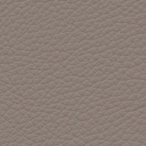 Leder Taupe 0314